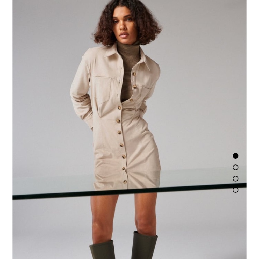 Brand new Zara faux suede dress